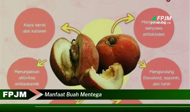 manfaat buah mentega