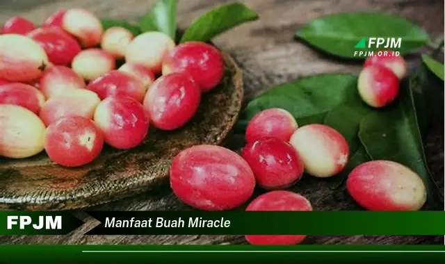 manfaat buah miracle