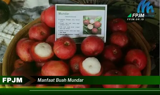 manfaat buah mundar