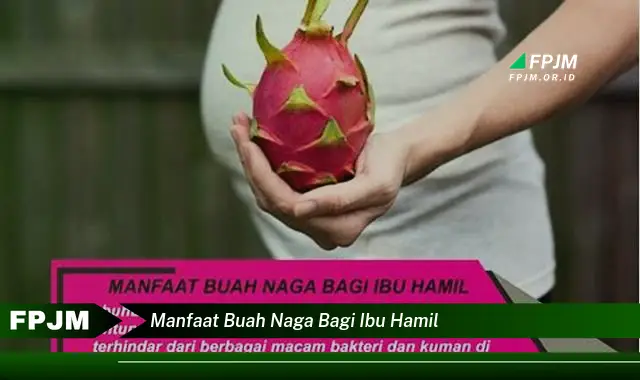 Intip 6 Manfaat Buah Naga bagi Ibu Hamil yang Wajib Kamu Ketahui - Discover NEWS