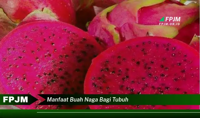 manfaat buah naga bagi tubuh