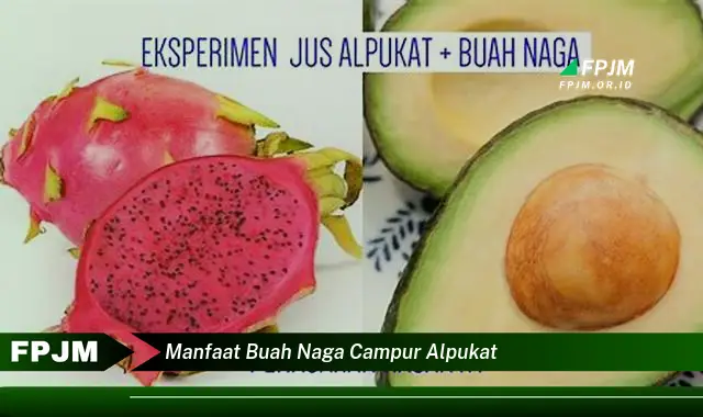 manfaat buah naga campur alpukat manfaat buah naga campur alpukat