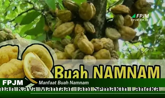 manfaat buah namnam