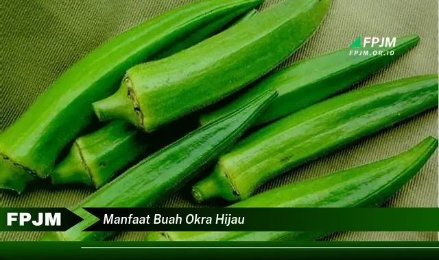 manfaat buah okra hijau manfaat buah okra hijau