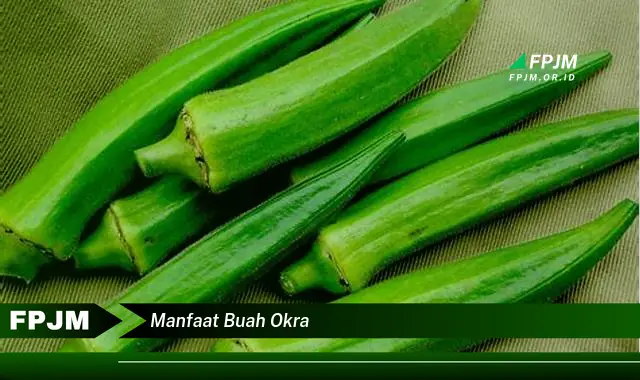 manfaat buah okra