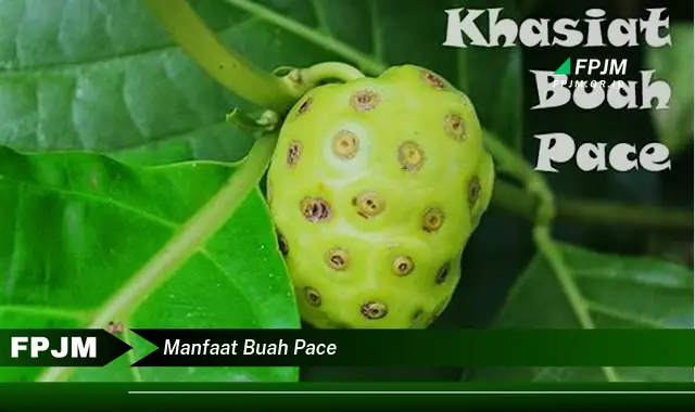 manfaat buah pace