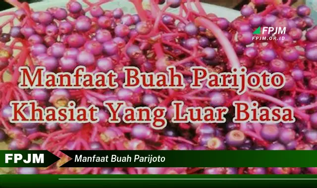 manfaat buah parijoto manfaat buah parijoto