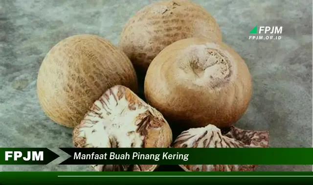 manfaat buah pinang kering