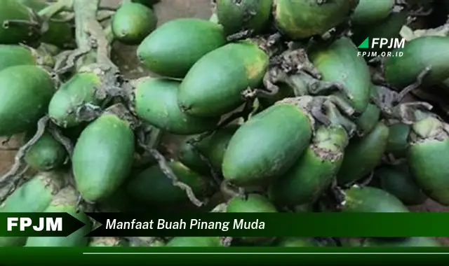 manfaat buah pinang muda