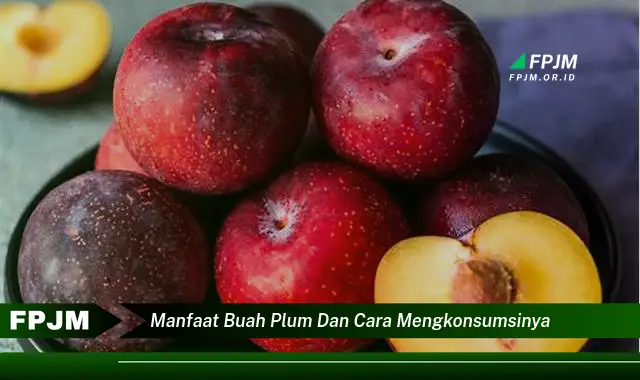 manfaat buah plum dan cara mengkonsumsinya