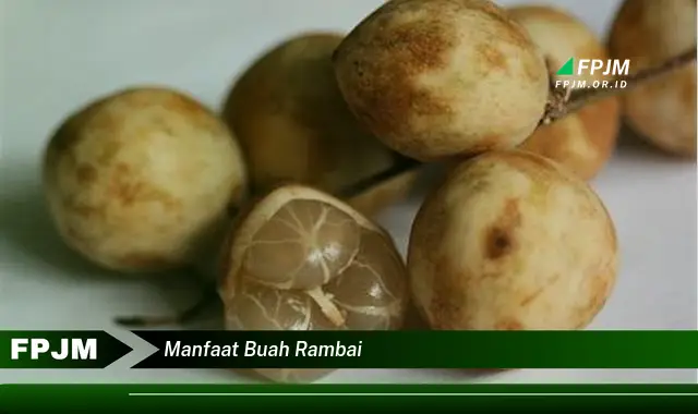 manfaat buah rambai manfaat buah rambai