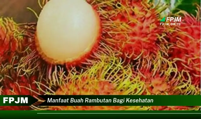 manfaat buah rambutan bagi kesehatan manfaat buah rambutan bagi kesehatan