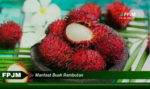 manfaat buah rambutan