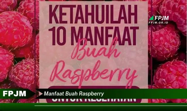 manfaat buah raspberry