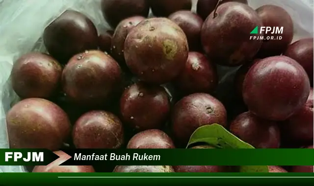 manfaat buah rukem manfaat buah rukem