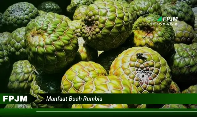 manfaat buah rumbia manfaat buah rumbia