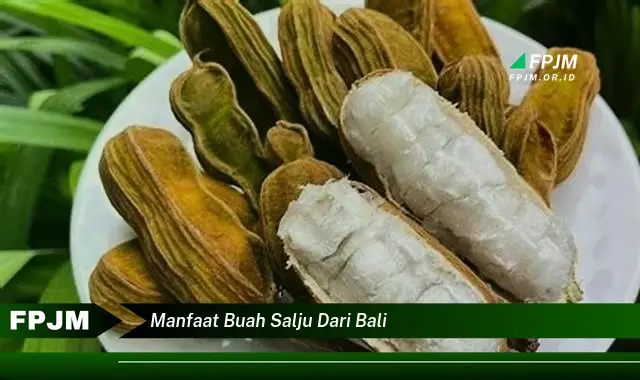 manfaat buah salju dari bali