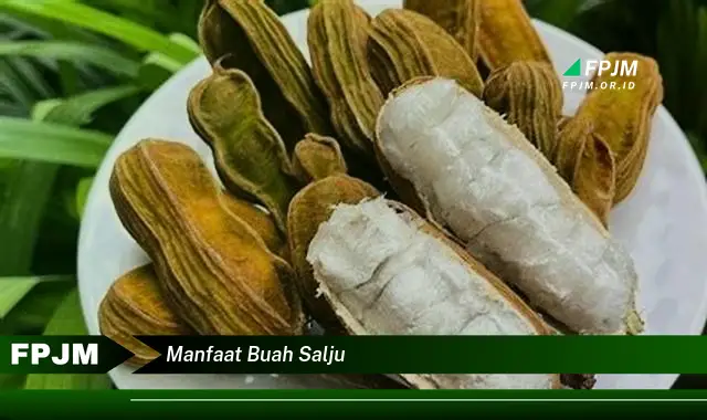 manfaat buah salju manfaat buah salju
