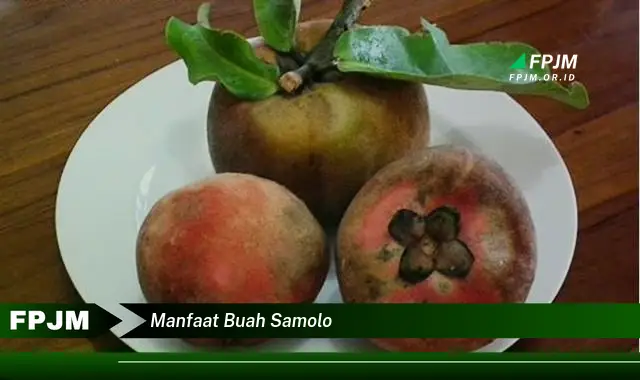 manfaat buah samolo