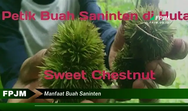 manfaat buah saninten