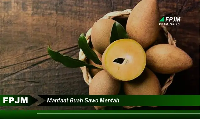 manfaat buah sawo mentah manfaat buah sawo mentah
