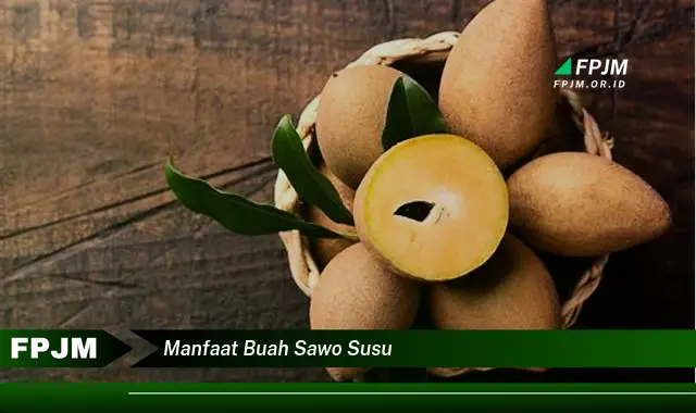 manfaat buah sawo susu manfaat buah sawo susu