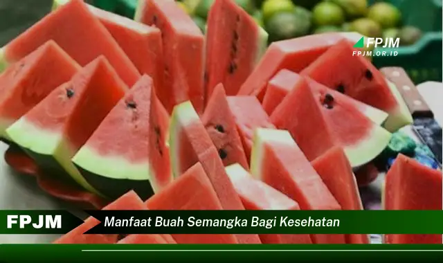 manfaat buah semangka bagi kesehatan manfaat buah semangka bagi kesehatan