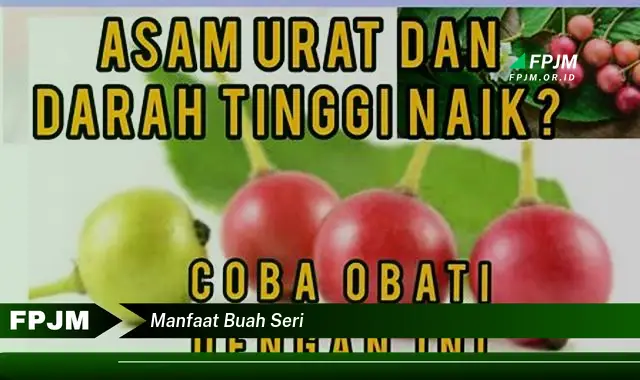 manfaat buah seri manfaat buah seri