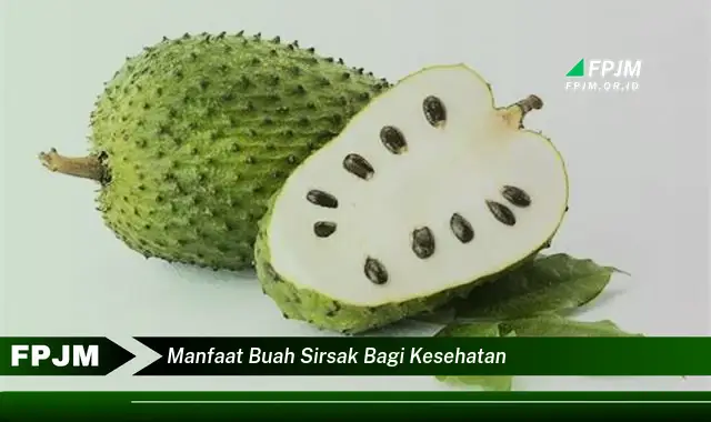 manfaat buah sirsak bagi kesehatan manfaat buah sirsak bagi kesehatan