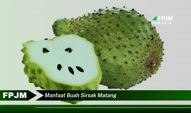 manfaat buah sirsak matang manfaat buah sirsak matang
