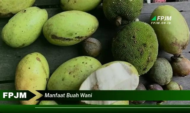 manfaat buah wani