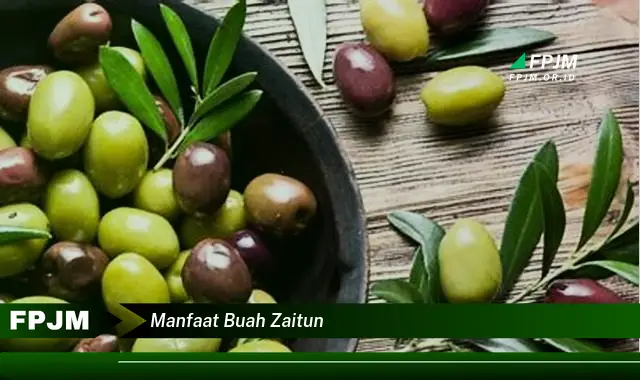 manfaat buah zaitun