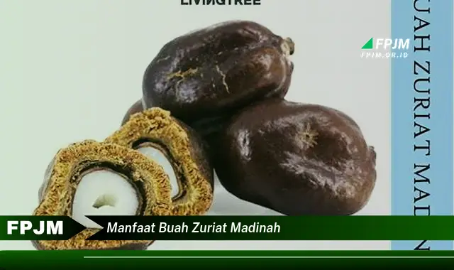 manfaat buah zuriat madinah