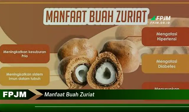 manfaat buah zuriat