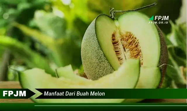 manfaat dari buah melon