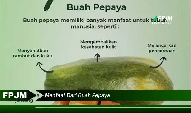 manfaat dari buah pepaya