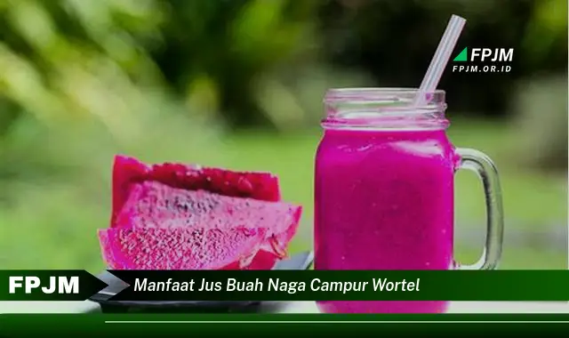 manfaat jus buah naga campur wortel