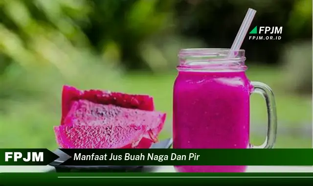 manfaat jus buah naga dan pir manfaat jus buah naga dan pir