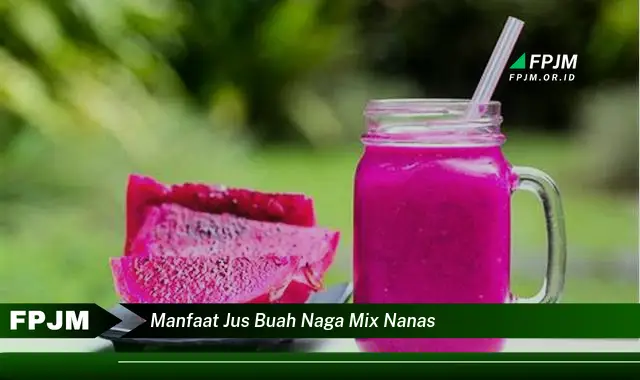 manfaat jus buah naga mix nanas