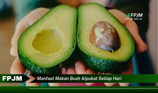 manfaat makan buah alpukat setiap hari manfaat makan buah alpukat setiap hari
