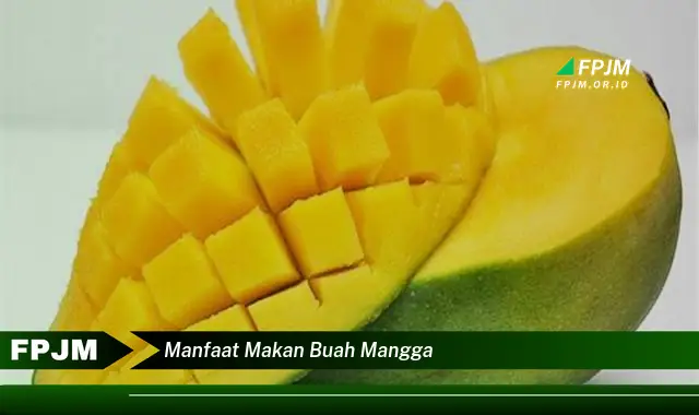 manfaat makan buah mangga manfaat makan buah mangga