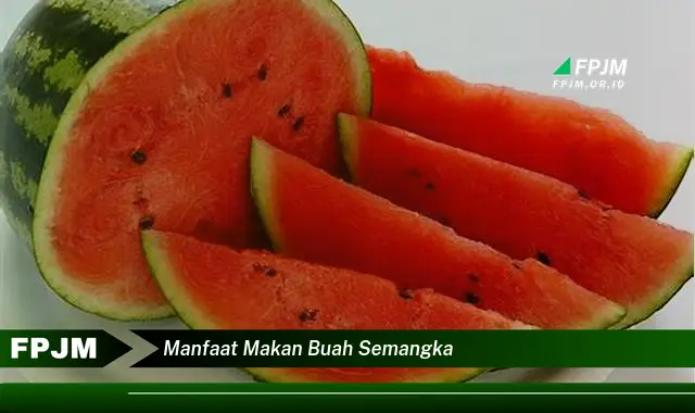 manfaat makan buah semangka manfaat makan buah semangka