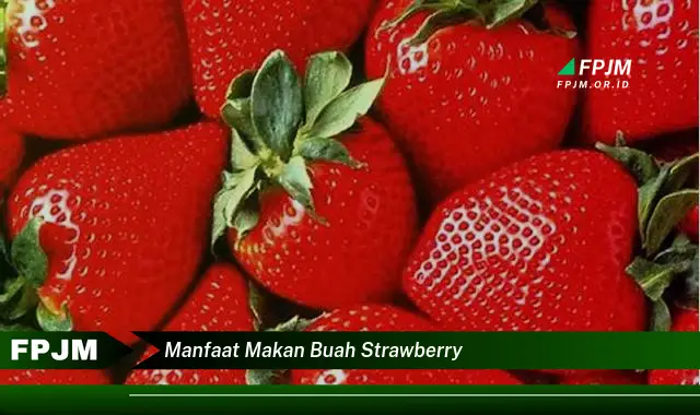 manfaat makan buah strawberry manfaat makan buah strawberry