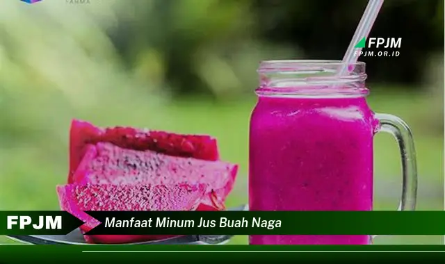 manfaat minum jus buah naga