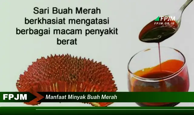 manfaat minyak buah merah