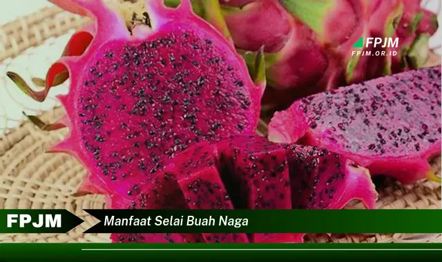 manfaat selai buah naga manfaat selai buah naga