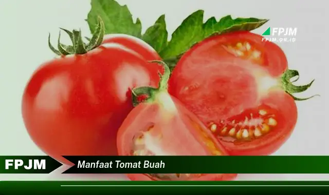 manfaat tomat buah manfaat tomat buah