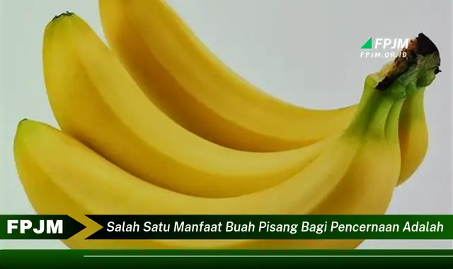 salah satu manfaat buah pisang bagi pencernaan adalah