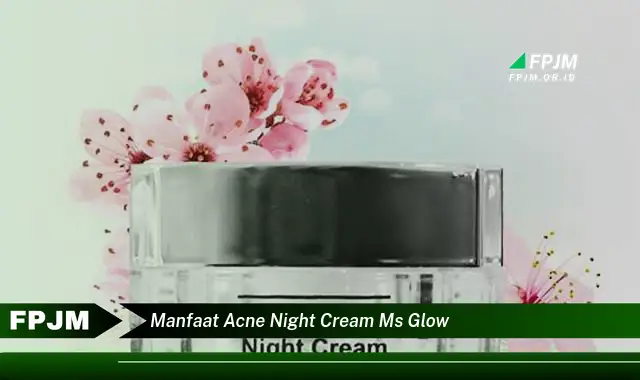 manfaat acne night cream ms glow
