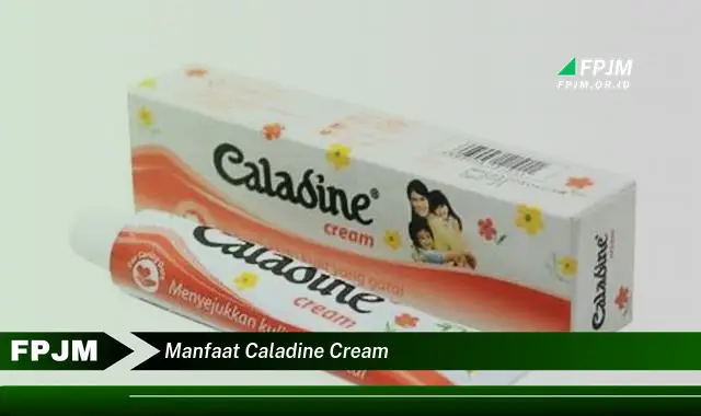 manfaat caladine cream manfaat caladine cream